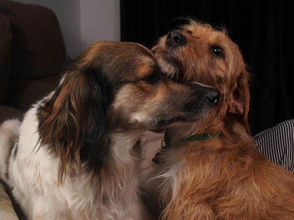 Optimierung der notfallreaktion: die transformative rolle von echtzeit-datenanalysen bei naturkatastrophen für mehr effizienz und sicherheit